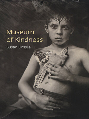 cover image of Museum of Kindness
